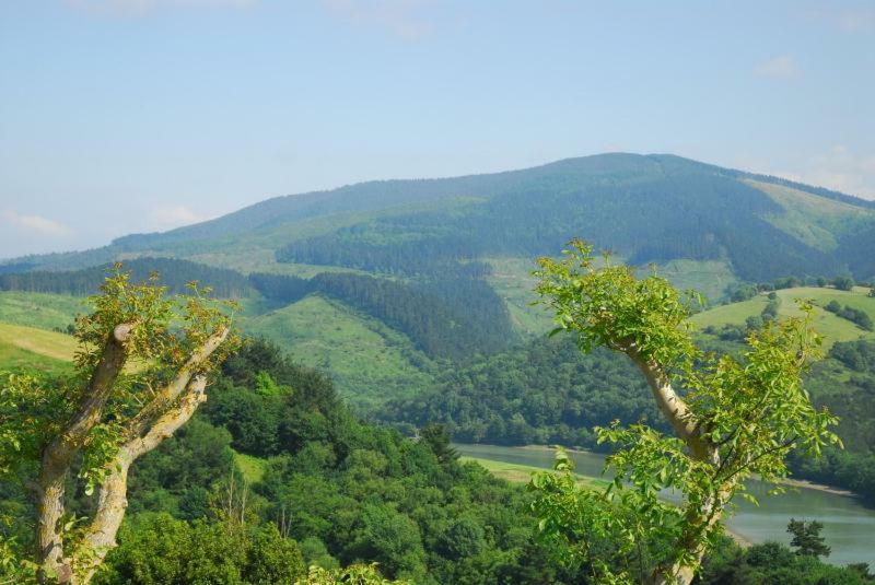 Casa Rural Erretzabal Txiki 奥利奥 外观 照片