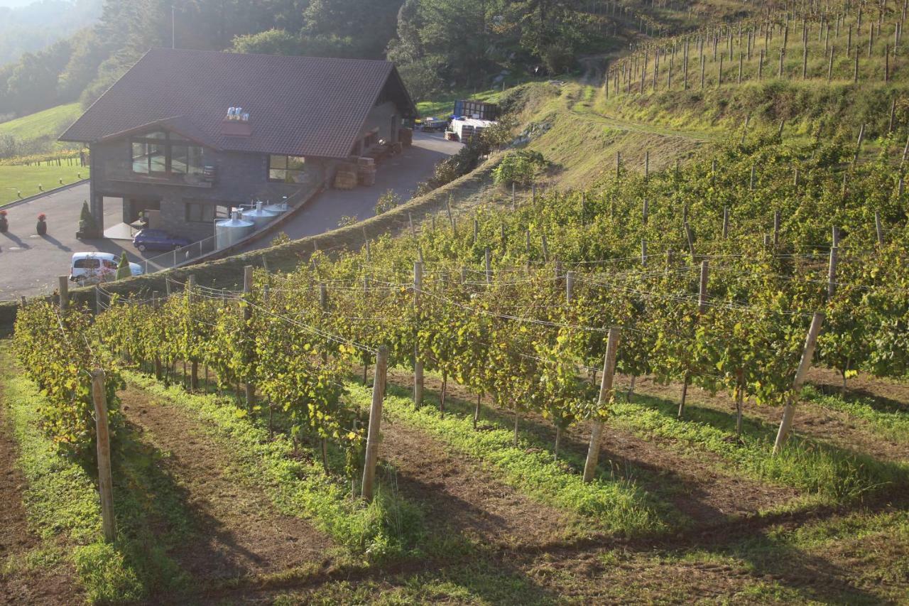 Casa Rural Erretzabal Txiki 奥利奥 外观 照片